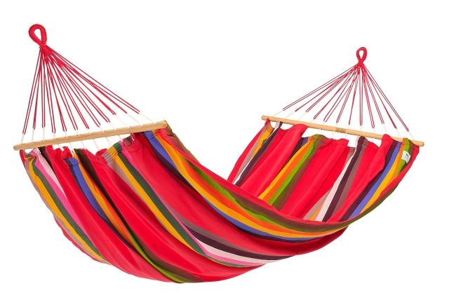 Graphik Ara Macao by Jobek JO-017004 color multicolor