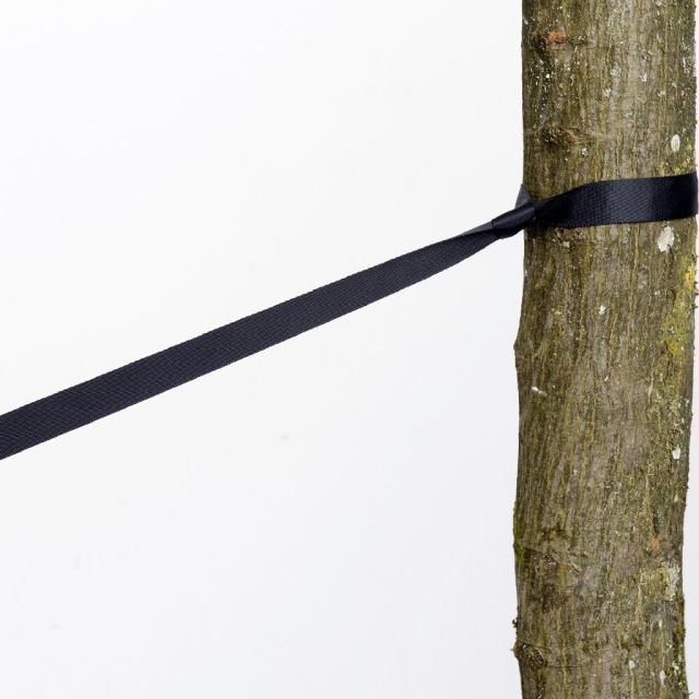 tree huggers - curele pentru copaci 2 bucăți by Amazonas AZ-3025004 color black